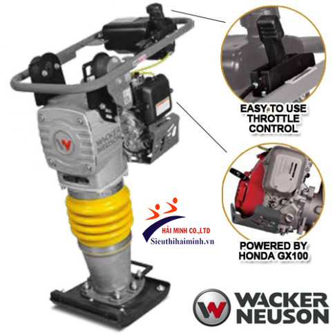 Máy đầm cóc Wacker Neuson MS64A